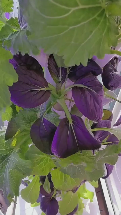Verde Vertical Garden™ – Indoor Hydroponic Tower System (14 Layers, 70 Plant Sites) | Space-Saving Balcony & Apartment Garden